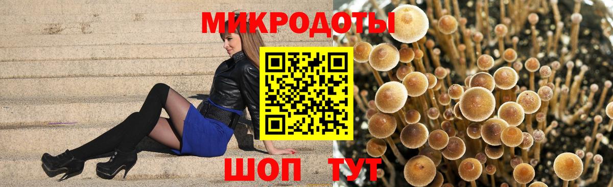 Галлюциногенные грибы мухоморы Заволжье