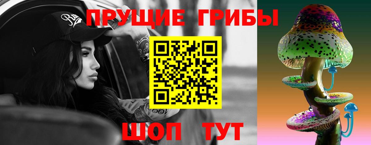 продажа наркотиков  Галлюциногенные грибы GOLDEN TEACHER  Заволжье  Вход с VPN  Галлюциногенные грибы мицелий 
